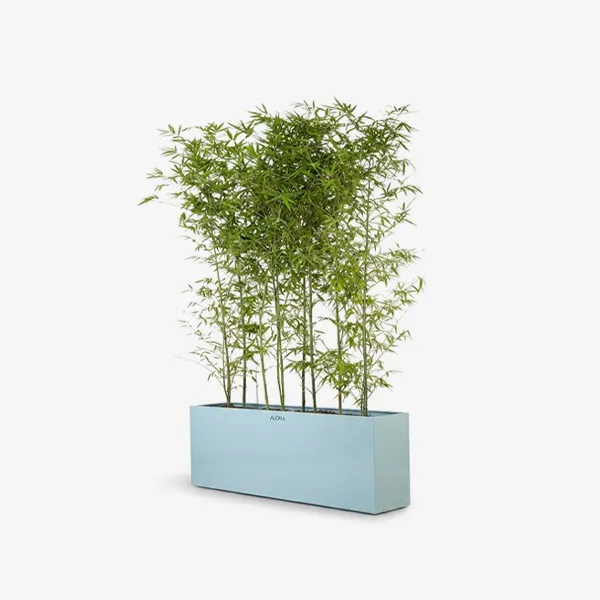گلدان باکسی | Boxed Metal Vase