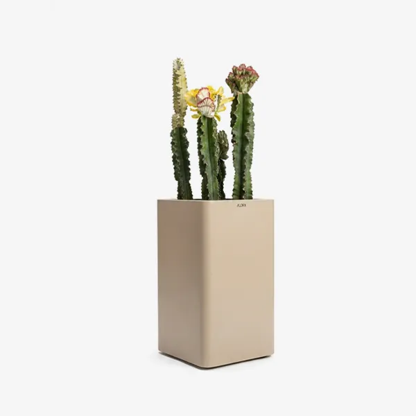 گلدان لبه گرد | Curved Edge Vase
