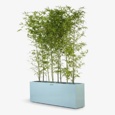 گلدان باکسی | Boxed Metal Vase