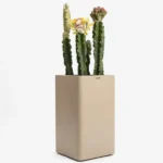 گلدان لبه گرد | Curved Edge Vase