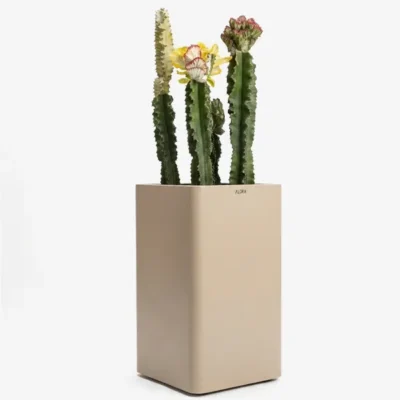 گلدان لبه گرد | Curved Edge Vase