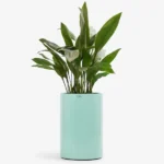 گلدان استوانه | Cylindrical Vase