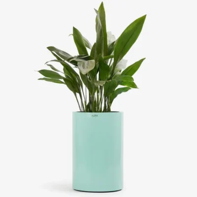 گلدان استوانه | Cylindrical Vase